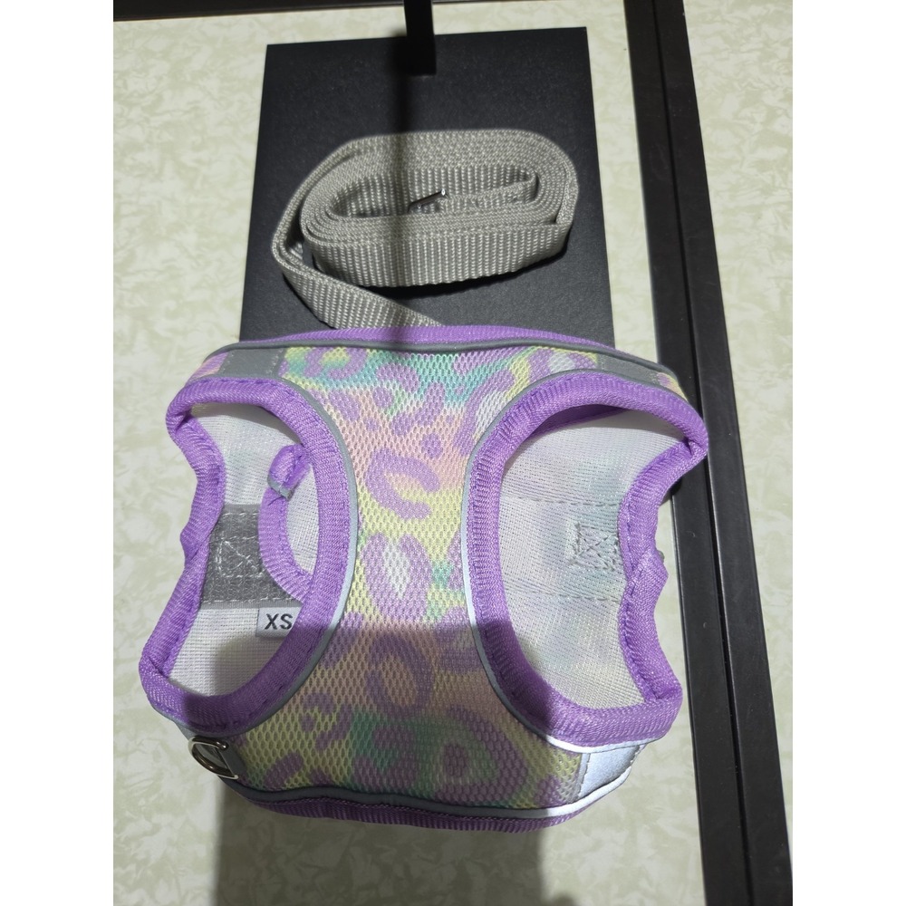 X-Small Purple W/ Design Dog Harness W/leash